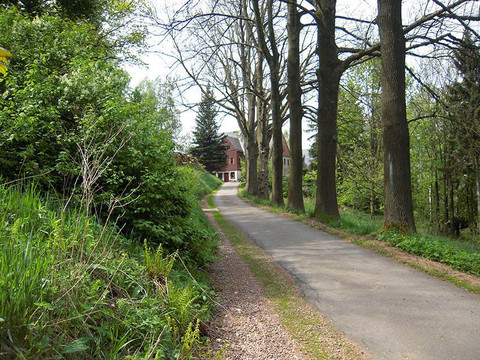 Auffahrt in Richtung Haus