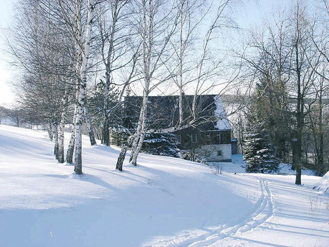 Winterliche Schönheit