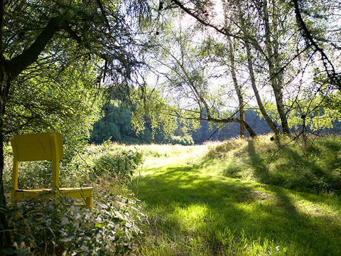 Spazierweg Richtung Wald