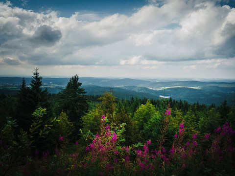 Gravelbike Türmertour Westerzgebirge -Ausblick Auersberg