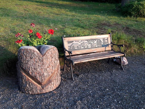 Eindrücke aus dem Garten