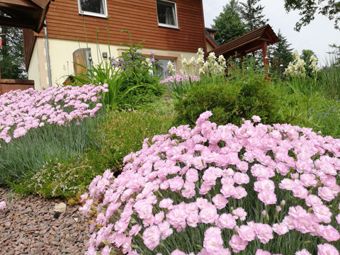 IMG_20210620_102839_resized_20210620_050236859