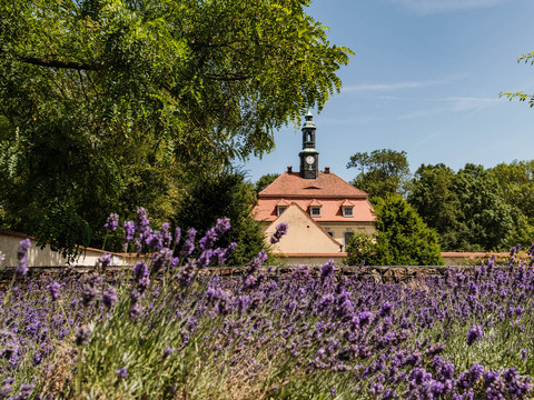 Schlosskirche Tiefenau