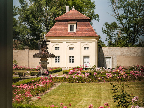 Rosengarten Tiefenau