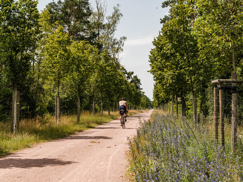 Unterwegs zur Gedenkstätte Lager Mühlberg