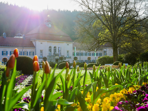 Albert Bad_Frühlingszauber©RobertReissner.jpg Historisches Gebäude mit bunten Frühlingsblumen im Vordergrund bei Sonnenlicht.