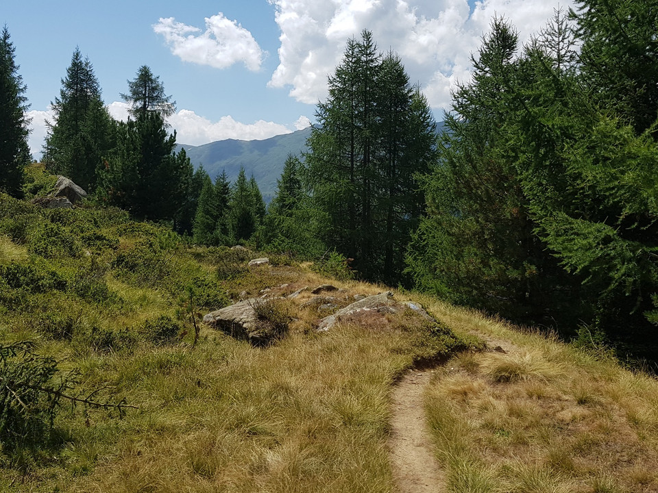 Wanderung von der Riederalp über die Knebelbrücke nach Blatten