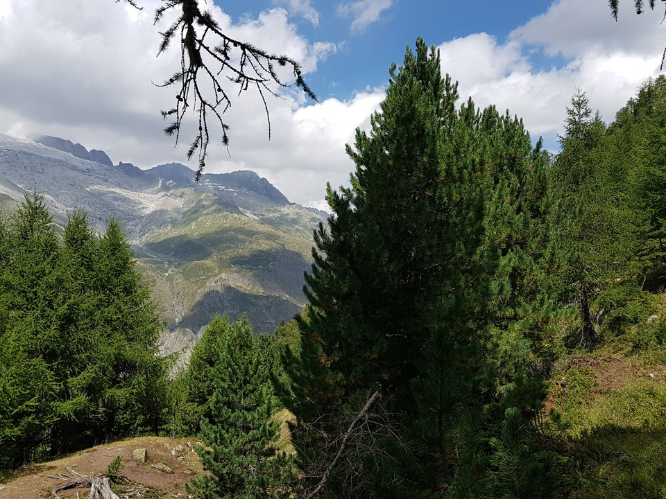 Wanderung von der Riederalp über die Knebelbrücke nach Blatten