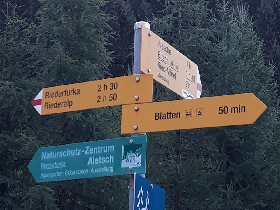 Wanderung von der Riederalp über die Knebelbrücke nach Blatten