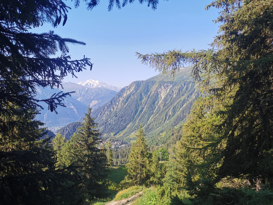 Ausblick aus dem Wald