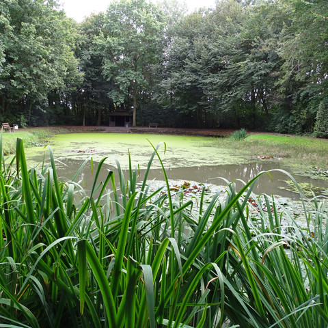 Bürgerpark Ovelgönne