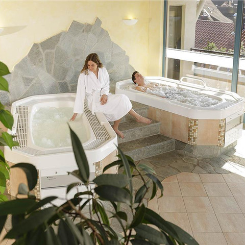Wellness (3)