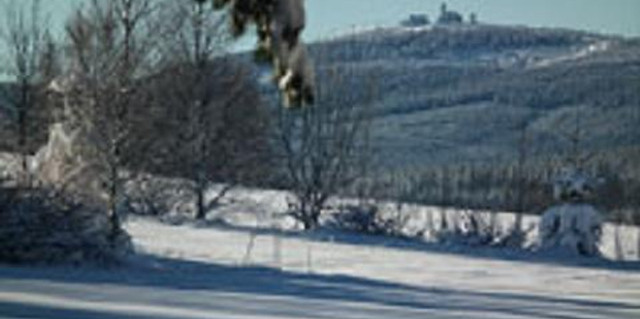 Blick aus dem Fenster