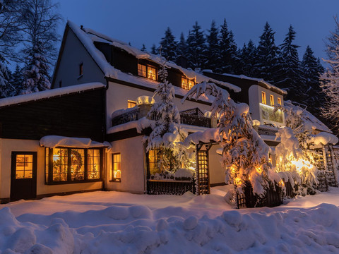 Am Sauwald Winter