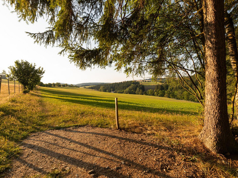 Blick vom Wildgehege