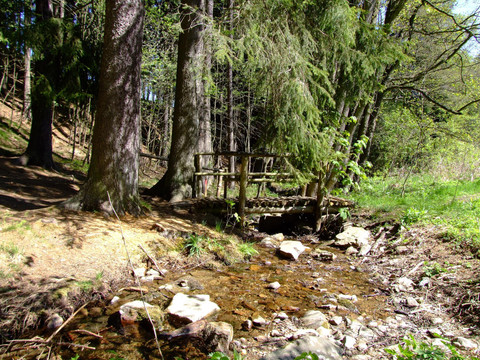 Wanderung entlang des Sauwaldbaches