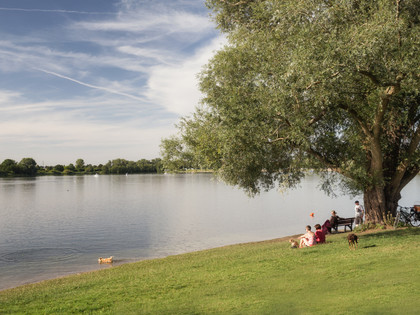 Seeblick an der Hundebadestelle im Salzgittersee