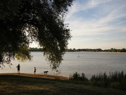 Hundebadestelle am Salzgittersee