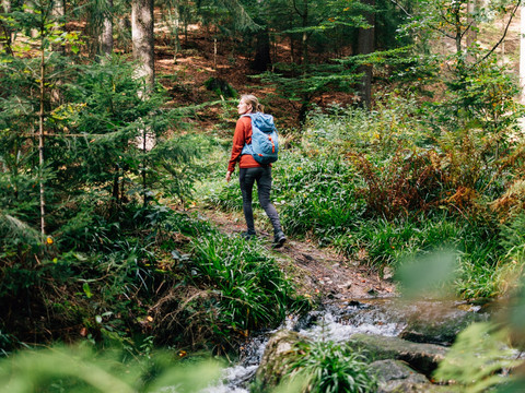 auf dem Köhlerweg um Sosa