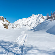 Pfad im Hintergrund das Wasenhorn