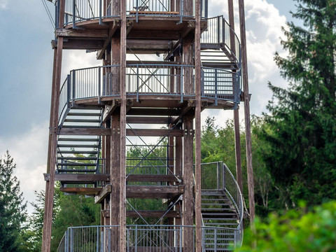 2019.08 - Villa Maria Außenbereich und Hund Bella_