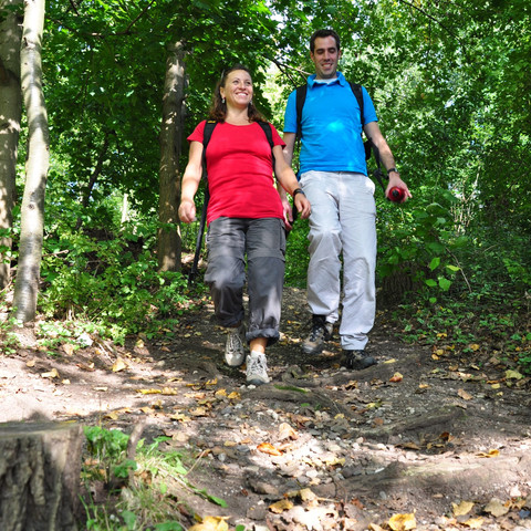 Römerkanal-Wanderweg Etappe 7