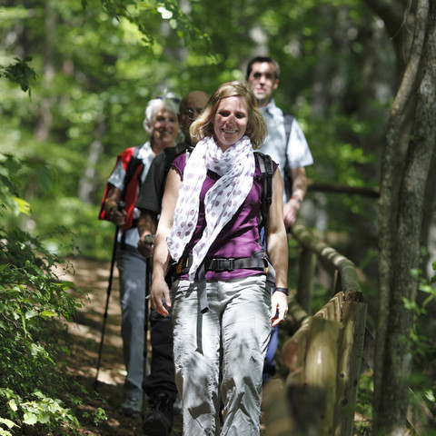 Wanderweg des Römerkanal-Wanderweges Etappe 1