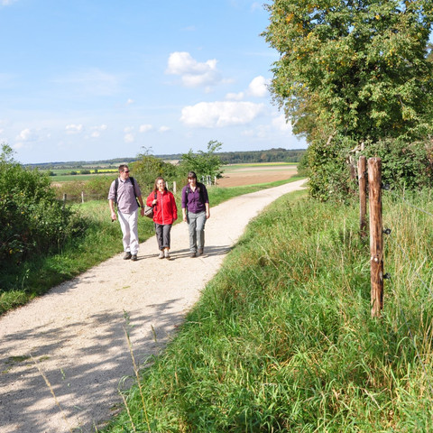 Römerkanal-Wanderweg Etappe 6