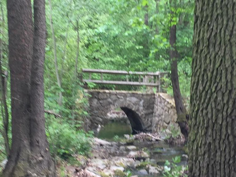 ef2b5190-5558-40f0-a52b-0983fbfb0ca2