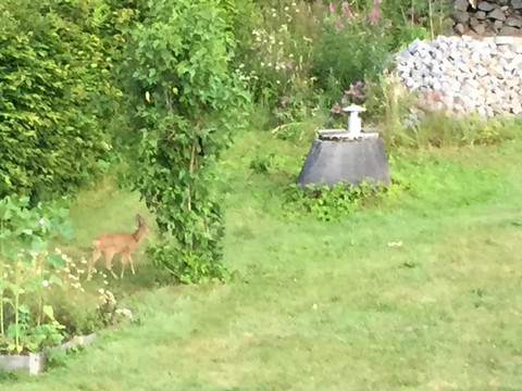 66f36a4b-02dc-492e-baf9-6b43b28cd05a