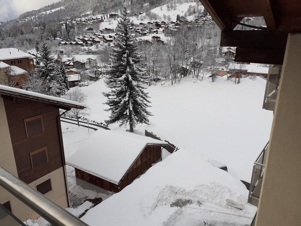 Aussicht Feld im Schnee Ferienwohnung Fiesch
