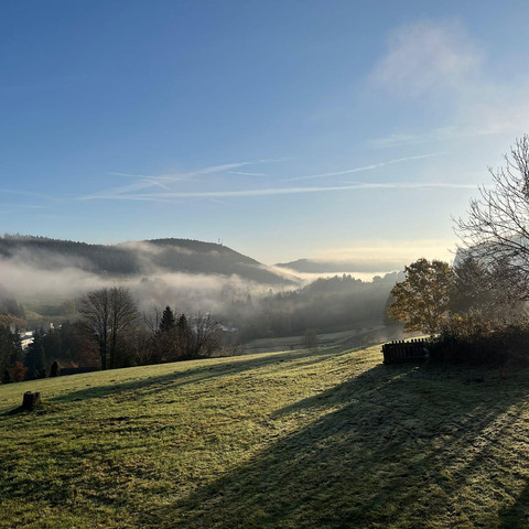 Panoramablick
