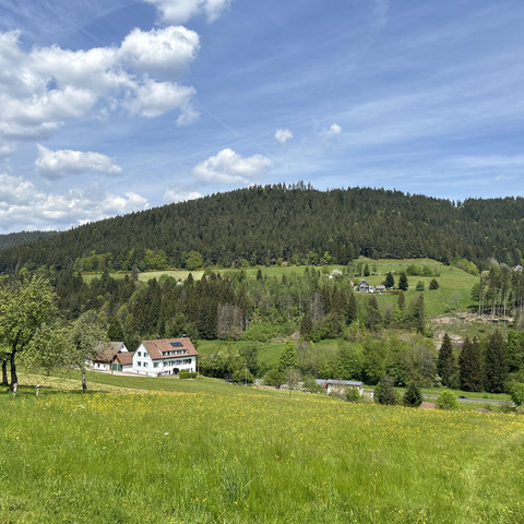 Panoramablick