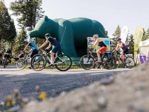 Gravel Camp Erzgebirge