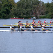 Regatta_Rudern.jpg