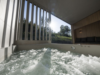 Hotel & Spa Suiten FreiWerk in Stolberg - Private Spa Suiten - Pool