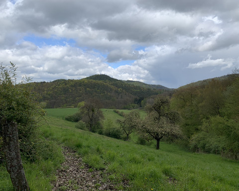 Unterwegs auf dem Spicke Rundweg 2 bei Edertal-Kleinern mit Blick ins Kesselbachtal