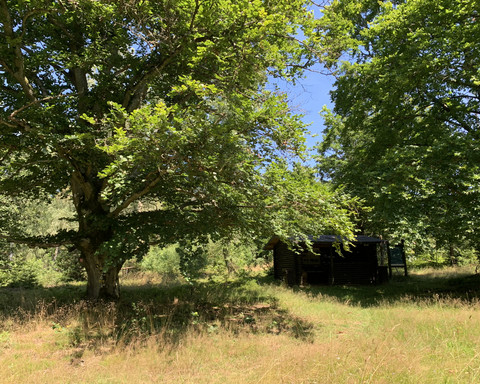 Paradies bei Edertal-Gellershausen