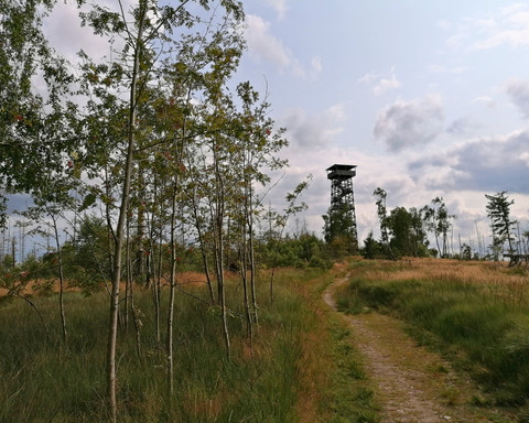 Kellerwaldturm am Wüstegarten