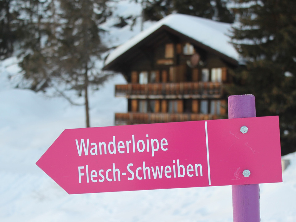 Winterwanderung Riederalp, Golmenegg, Restaurant Adler und retour