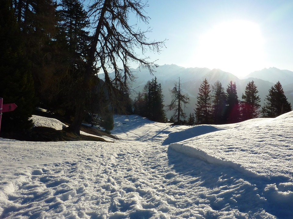 Winterwanderung Riederalp, Golmenegg, Restaurant Adler und retour