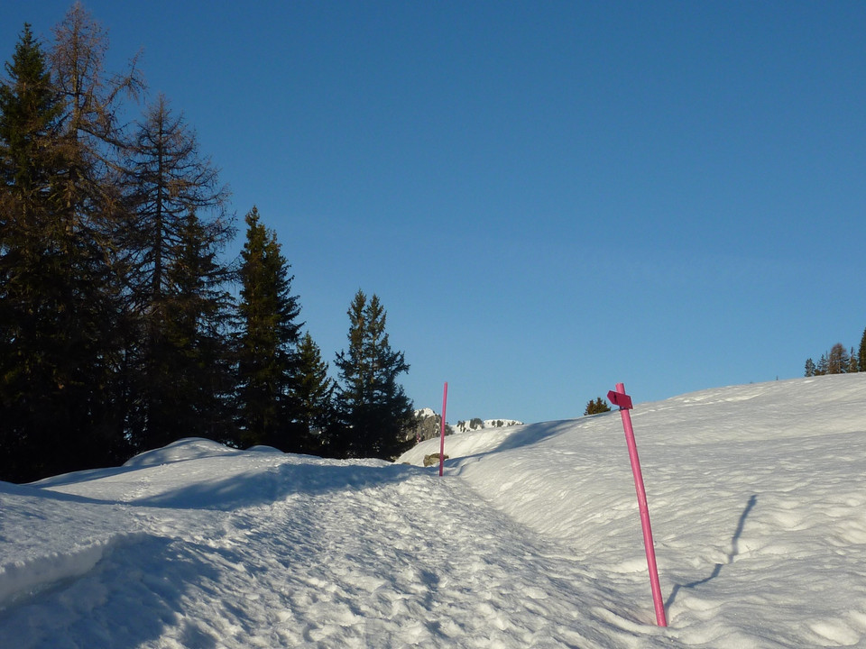 Winterwanderung Riederalp, Golmenegg, Restaurant Adler und retour