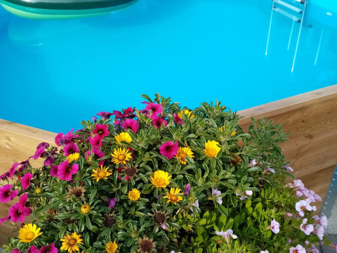 Ferienhof Leuner mit Pool