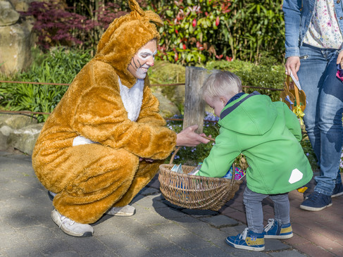 ® Franz Frieling_Eiersuchen (1).jpg