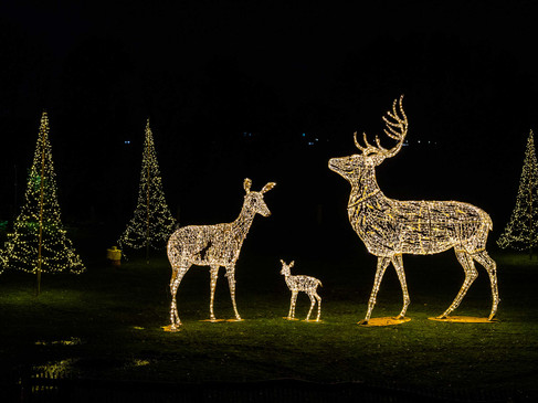 ©Jörg Everding_Weihnachtsmarkt.jpg