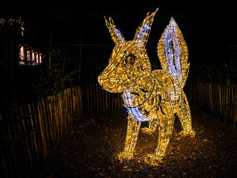 ©Jörg Everding_Weihnachtsmarkt4.jpg