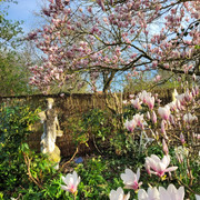 Garten Hantelmann – Offene Pforte