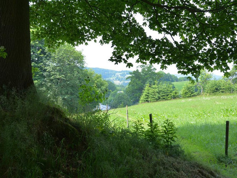 Auf der Halde auf dem Berg