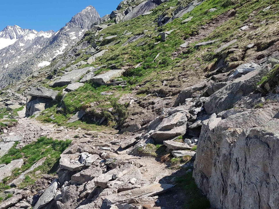 Rundwanderung von der Moosfluh via Märjelensee zur Riederalp
