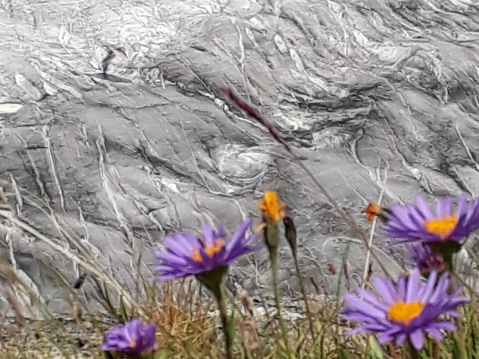 Der Grosse Aletschgletscher, Rundwanderung Bettmerhorn - Märjelensee - Bettmeralp